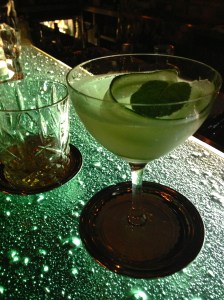 Dry (o Gin) Martini con Hendricks y Caña Legui