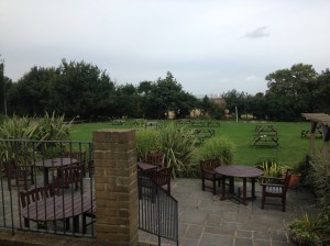 Patio con conejos incluidos